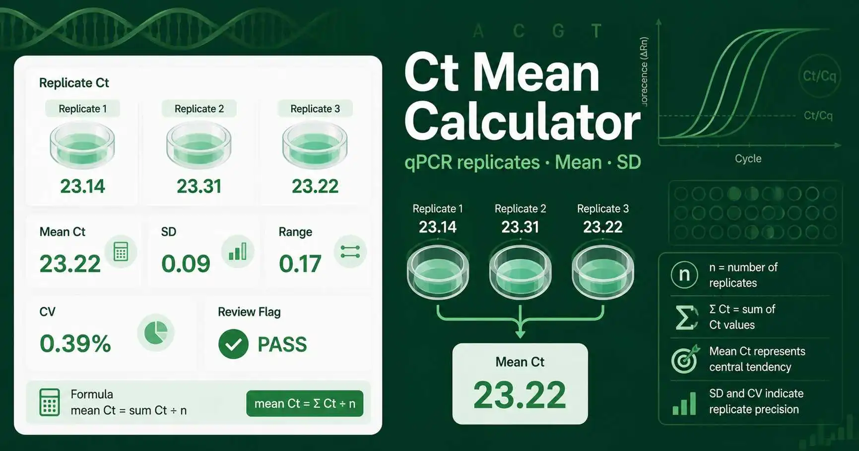 Ct Mean Calculator interface showing qPCR replicate Ct values, mean Ct, standard deviation, range, and replicate quality flags