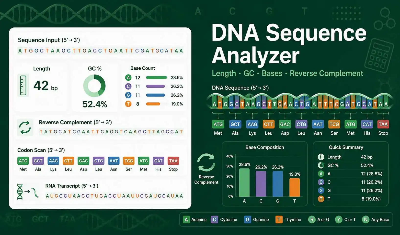 DNA Sequence Analyzer dashboard showing sequence length, GC content, base composition, reverse complement, and codon scan results