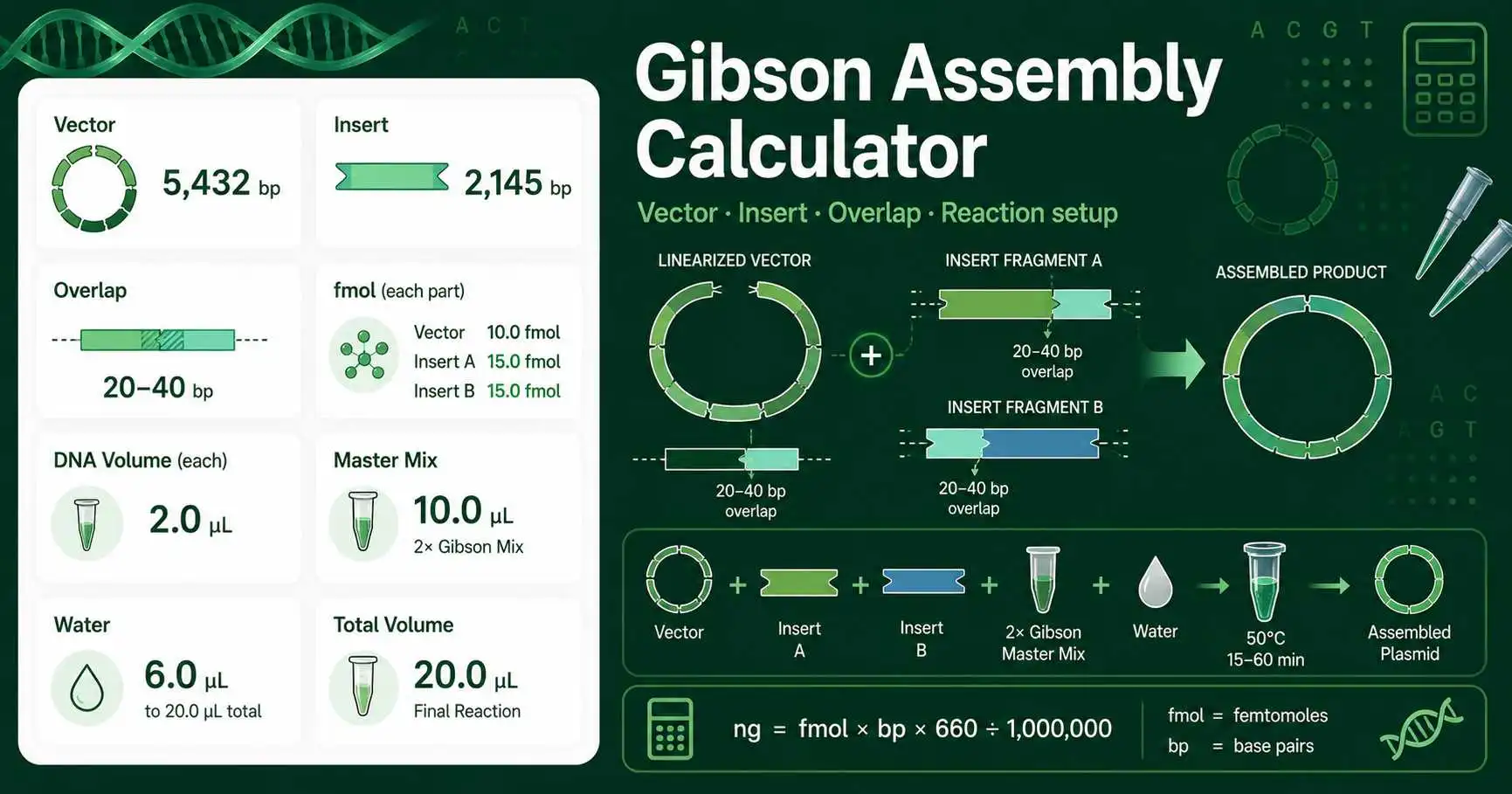 Gibson Assembly Calculator showing vector length, insert length, DNA amount, overlap checks, and reaction setup