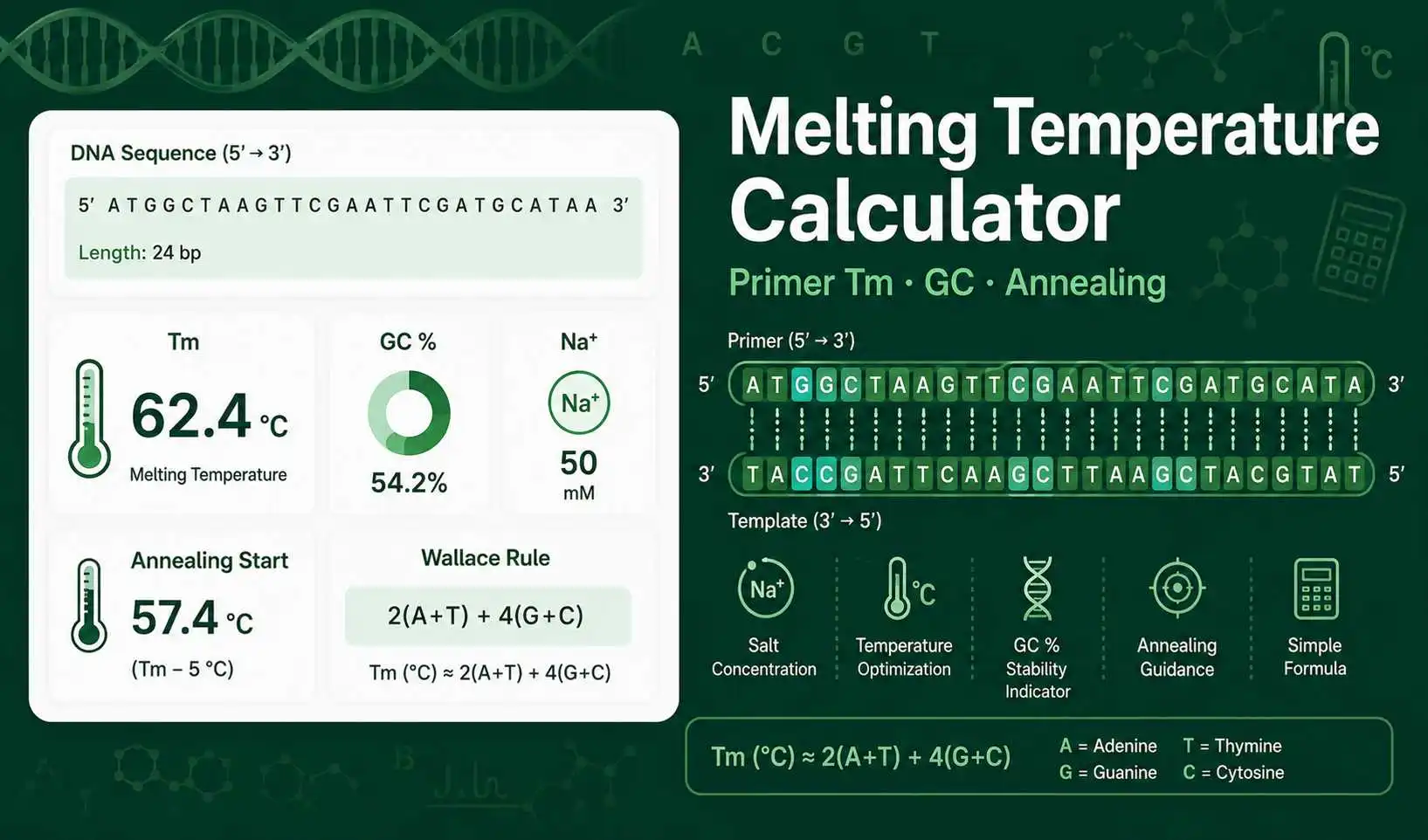 Melting Temperature Calculator dashboard showing DNA primer Tm, GC content, salt concentration, and annealing temperature estimate