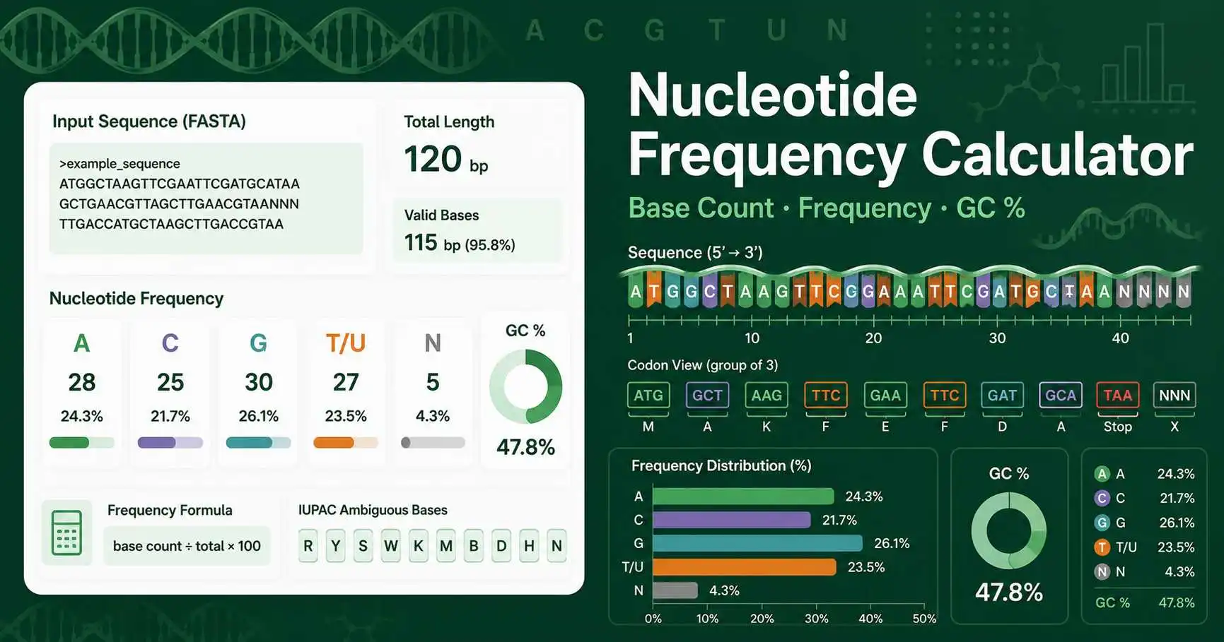 Nucleotide Frequency Calculator dashboard showing DNA and RNA base counts, GC content, and IUPAC symbols
