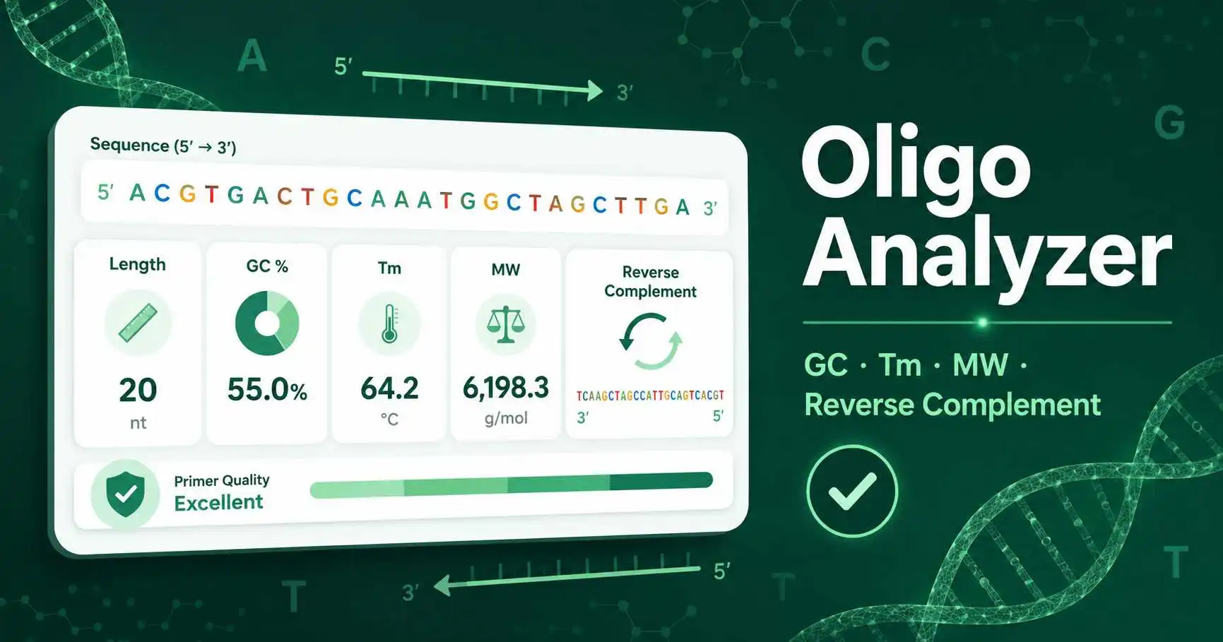 Oligo Analyzer interface showing primer length, GC content, melting temperature, molecular weight, and reverse complement checks