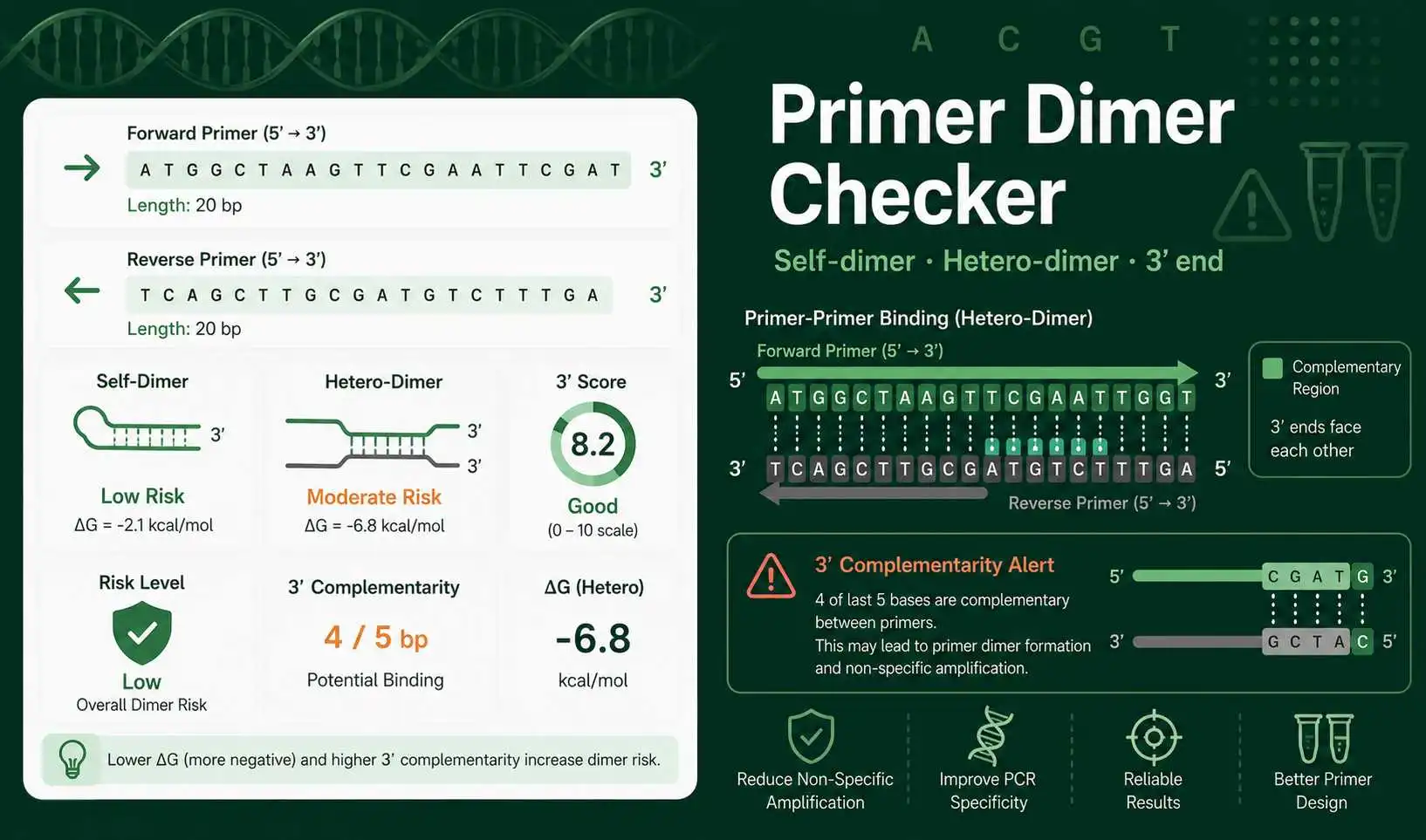 Primer Dimer Checker dashboard showing self-dimer, hetero-dimer, 3 prime complementarity, GC content, and PCR primer risk results