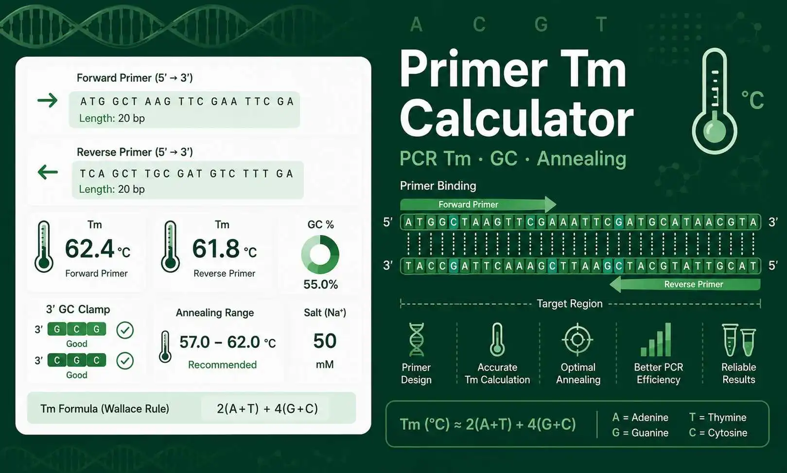 Primer Tm Calculator dashboard showing melting temperature, GC content, 3 prime clamp, and annealing range for PCR primers