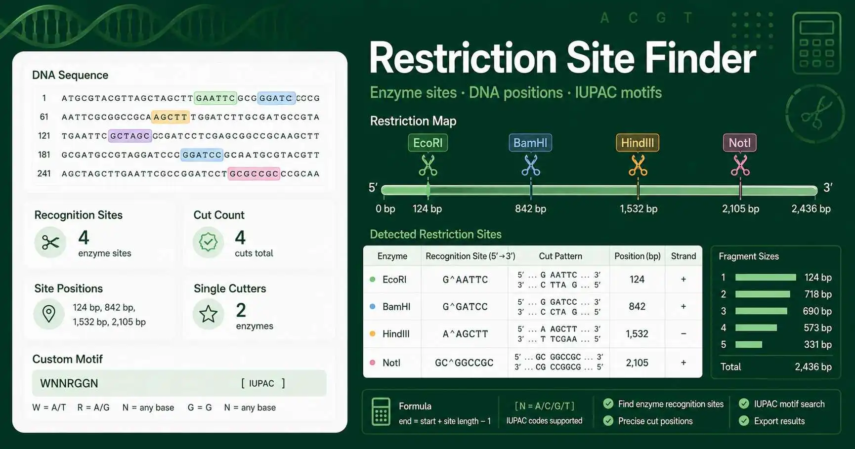 Restriction Site Finder dashboard showing enzyme sites, DNA positions, cut counts, and custom IUPAC motif search