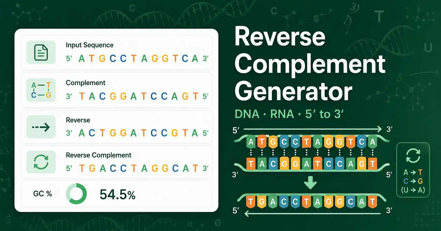 Reverse Complement Generator interface showing DNA sequence input, reverse complement output, base pairing, and GC content cards